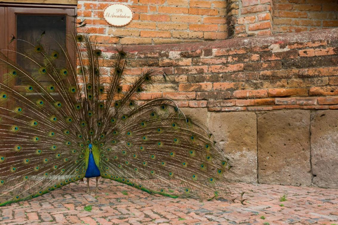 Hacienda Sepulveda Hotel&Spa Lagos de Moreno Bagian luar foto